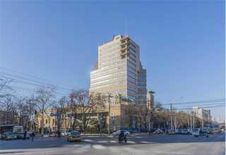 鲜魔芋种子哪家批发公司好